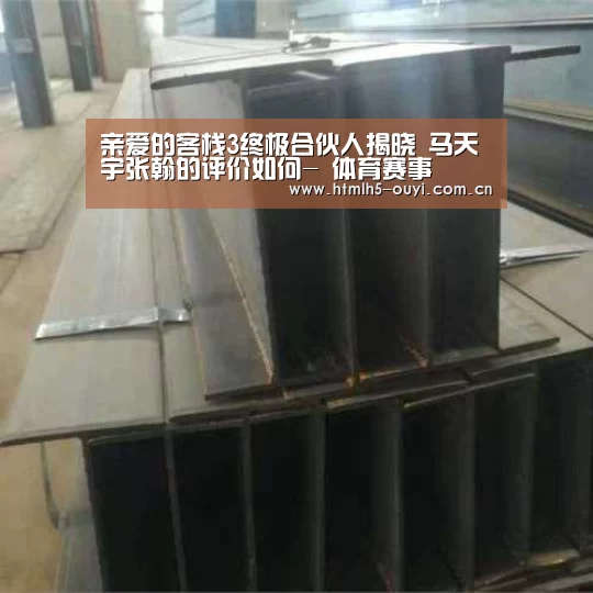 亲爱的客栈3终极合伙人揭晓 马天宇张翰的评价如何- 体育赛事(图3) 体育资讯